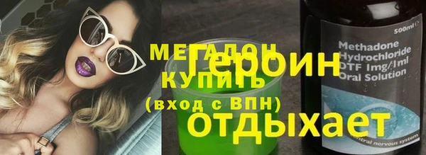 мет Алексин