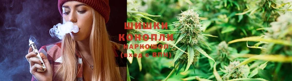 мет Алексин