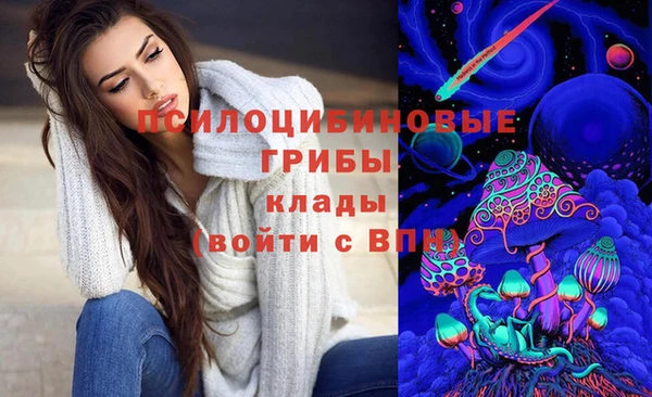 мет Алексин