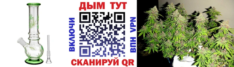 Марихуана конопля  Купить где  Володарск 